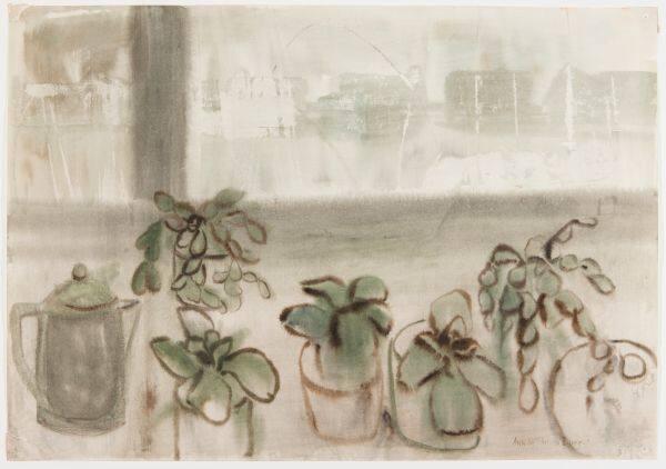 African Violets