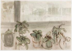 African Violets