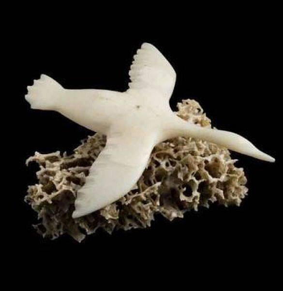 Flying Bird