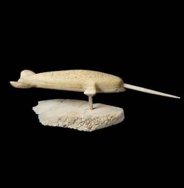 Narwhal