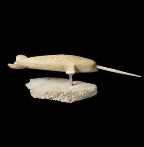 Narwhal