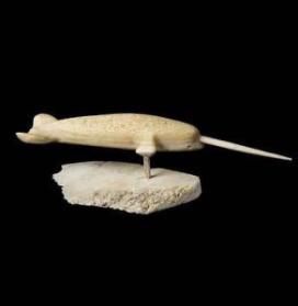Narwhal