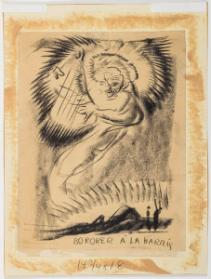 Bororer à la Harris