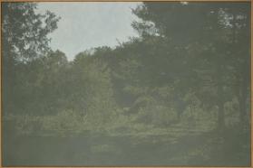 Cantley IV