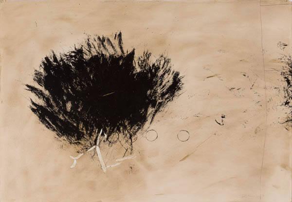 Photo Credit: Toni Hafkenscheid