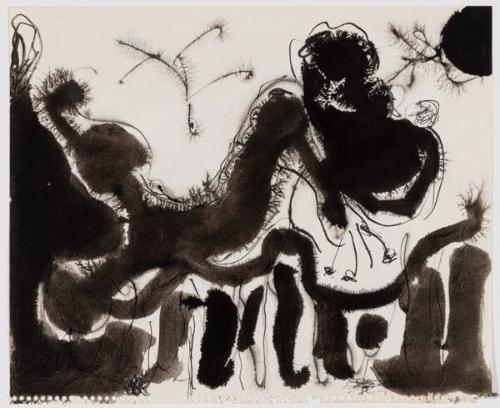 Photo Credit: Toni Hafkenscheid