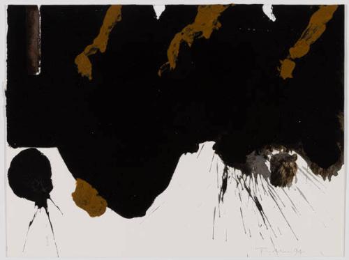 Photo Credit: Toni Hafkenscheid