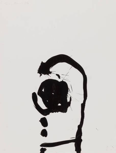 Photo Credit: Toni Hafkenscheid