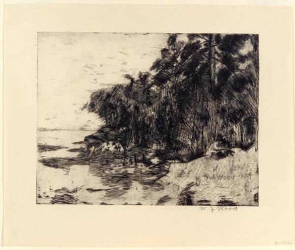 Trees by a Lake