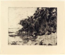Trees by a Lake