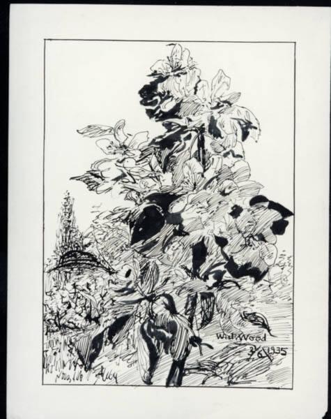 Untitled (flowers)