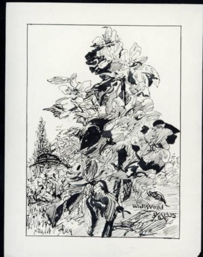 Untitled (flowers)