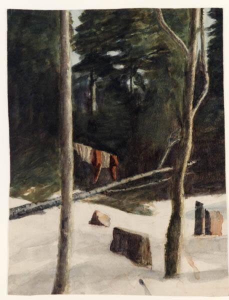 Forest in Winter