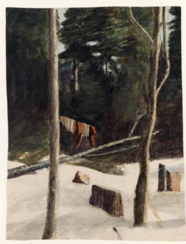 Forest in Winter