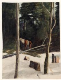 Forest in Winter