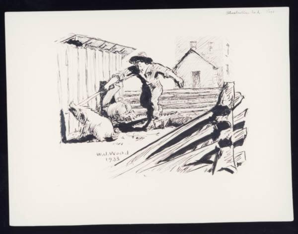 Illustration No. 1 Pigs