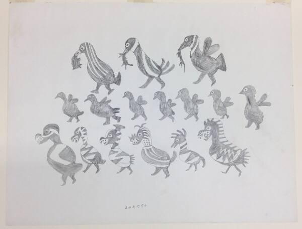 Birds
