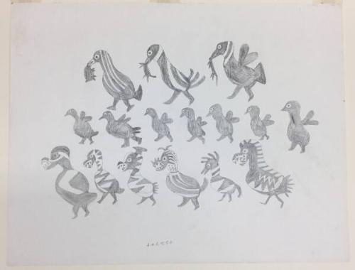 Birds