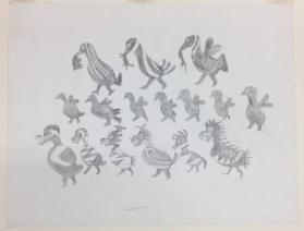Birds