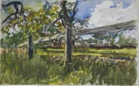 Fence and Field