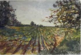 Farm Scene