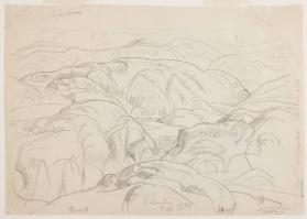 Photo Credit: Toni Hafkenscheid