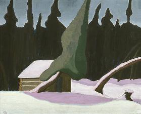 Forest and Winter Moonlight