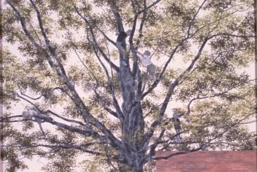 Children in a Tree