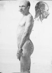 Untitled (side view of bald male holding gun (?); head study trc)