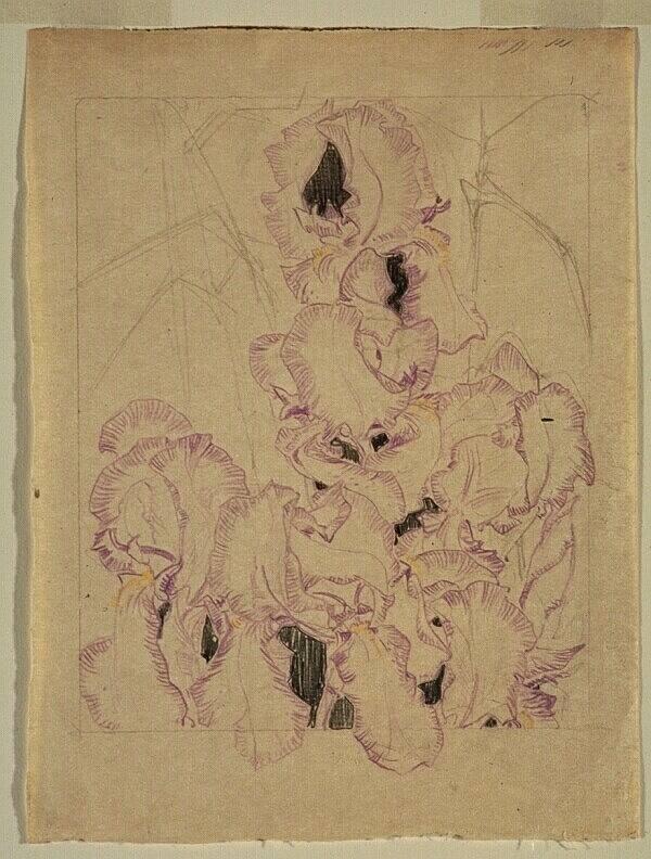 Study of Irises