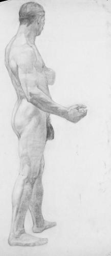 Untitled (side view of nude man)