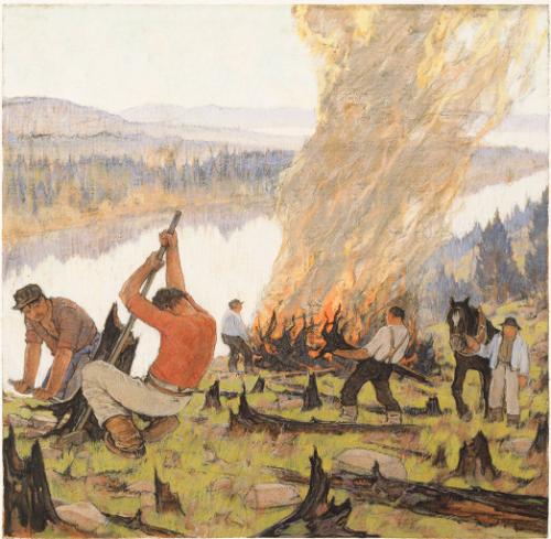 Burning Stumps