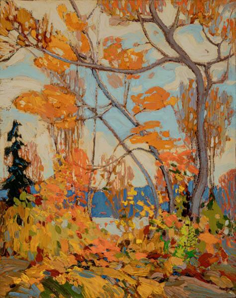 Autumn, Algonquin Park