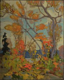 Autumn, Algonquin Park