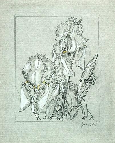 Study of Irises