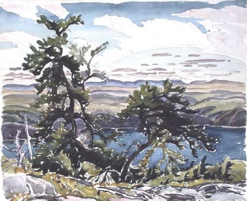 Jack Pines