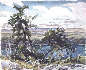 Jack Pines