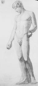 Untitled (standing nude male antique statuary)