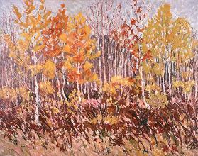 Autumn Forest