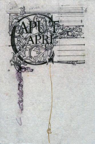 Study for Caput Apri