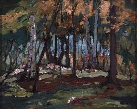 Untitled (forest)