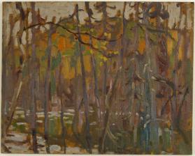 Beaver Pond In Autumn