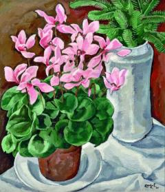 Cyclamen