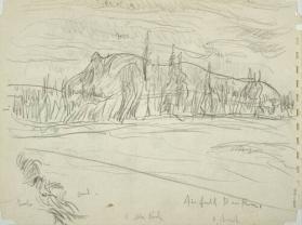 Air Field Bear River (R); Untitled (trees, clearing) (V)