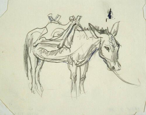 Untitled (saddled donkey)