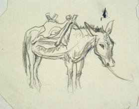 Untitled (saddled donkey)