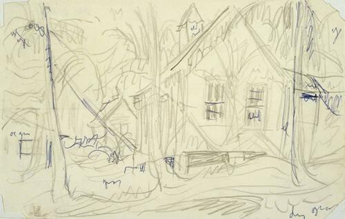 Untitled (cottages, trees - Tobago?)