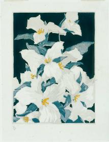 Trilliums, a