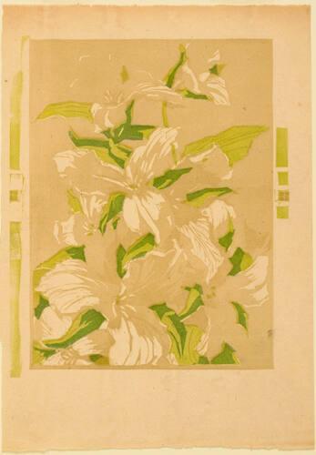 Study for Trilliums