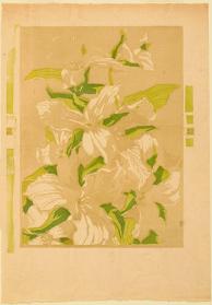 Study for Trilliums